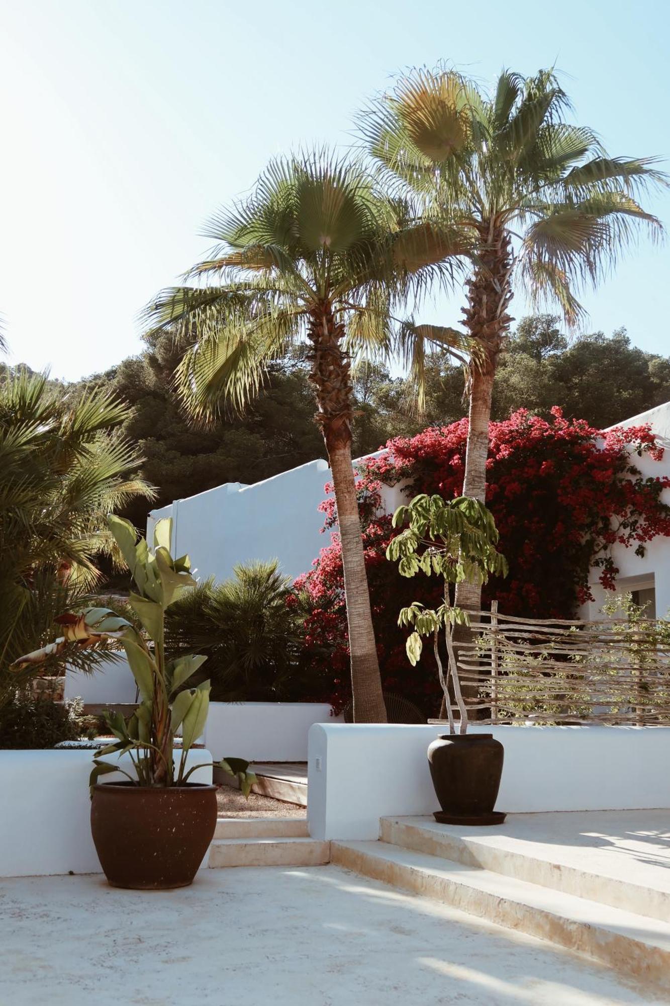 Hotel Pure House Ibiza Sant Jordi de ses Salines Esterno foto