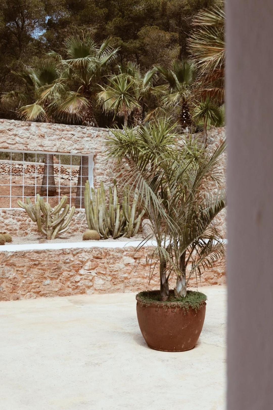 Hotel Pure House Ibiza Sant Jordi de ses Salines Esterno foto